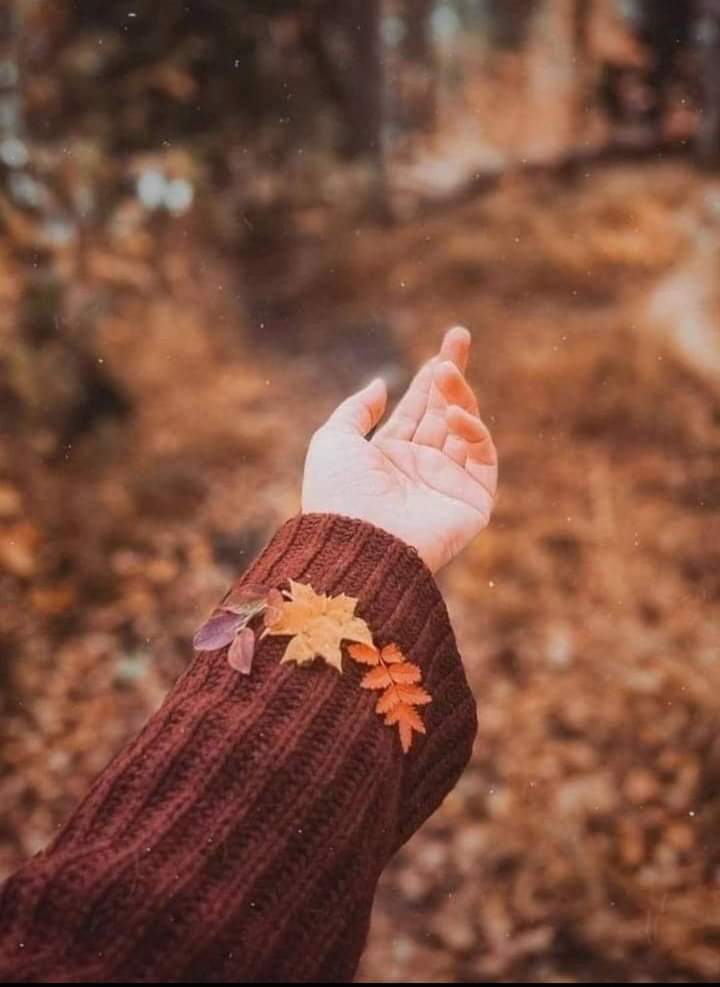 " دَع الخريف يفعل بك ما يفعله بالأشجار ، فأنت أيضًا لديك أوراق خاسِرة ..!  🥀