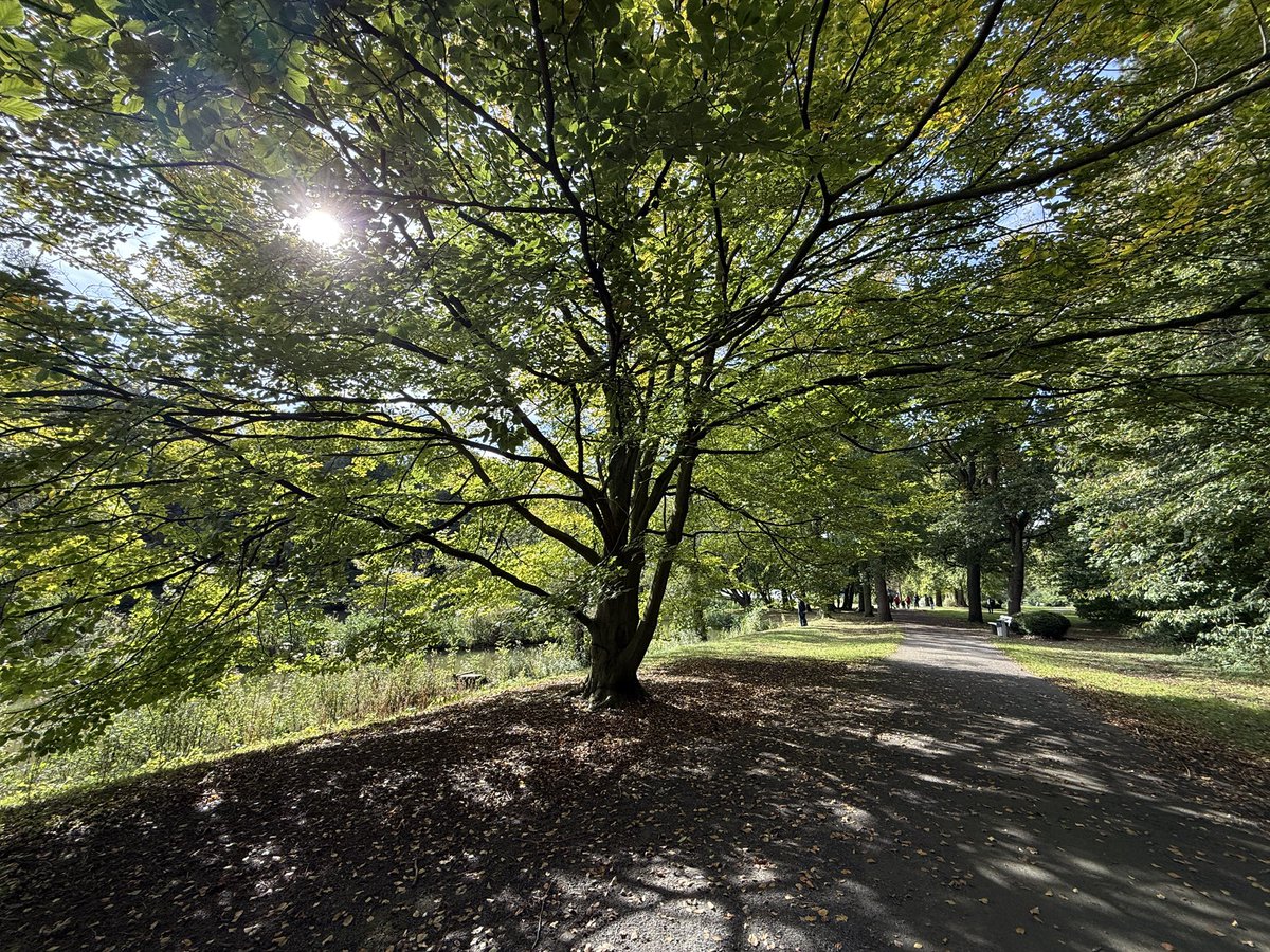 #Kurpark #Hamm #shotoniPhone
#nofilter