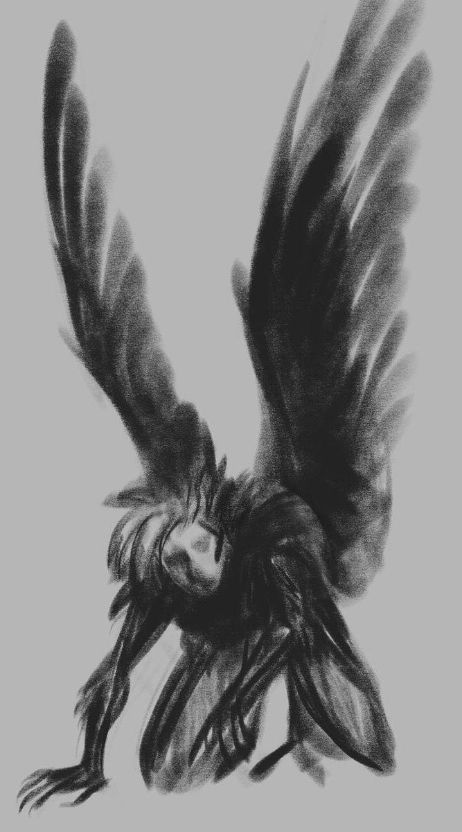 скетчевые сероптицы и птица 🐦‍⬛🦊
#сероптица