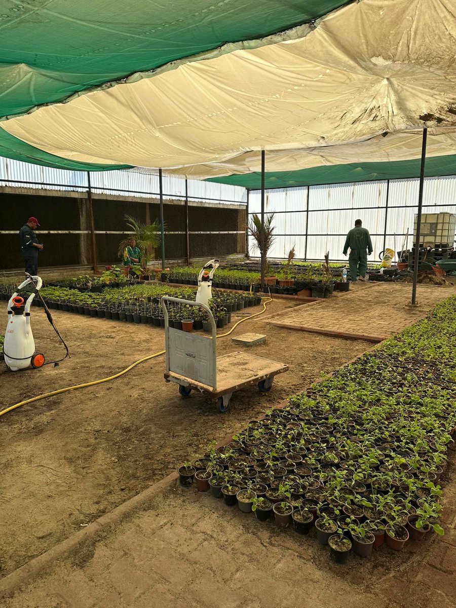 موقع القطاع النفطي tweet media