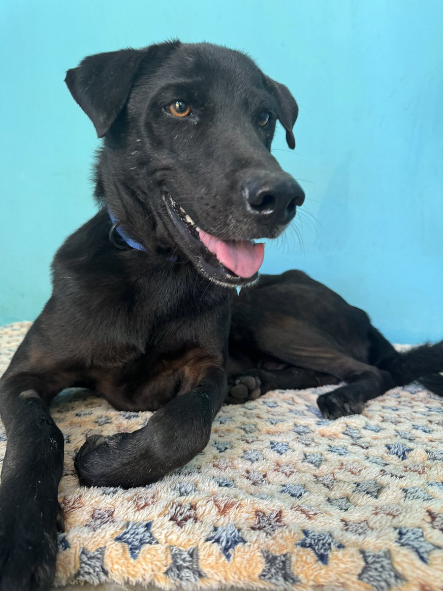 Niall Harbison tweet media