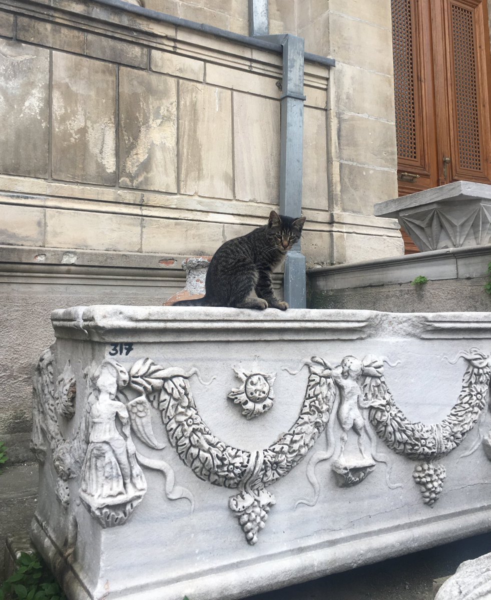 As we are getting ready for the 7th Annual Necropolis Research Network meeting in Istanbul tomorrow, we did some reconnaissance at the Archaeological Museum. Cats and sarcophagi, what’s not to ❤️
