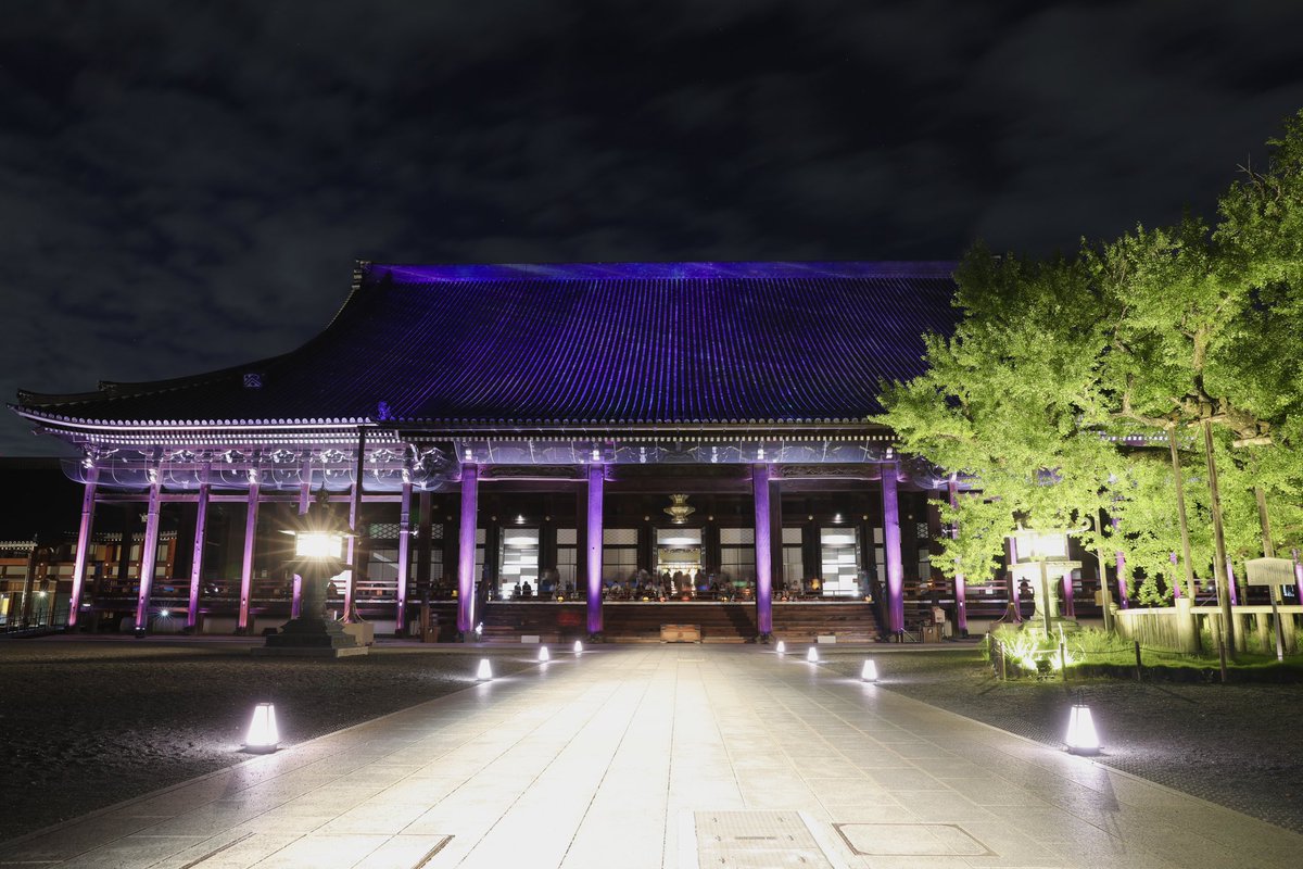 syouwa2pc's tweet photo. NAKED
光の西本願寺2024
「京都三名閣」国宝・飛雲閣特別ライトアップ

#京都 #西本願寺 #国宝 #世界文化遺産 #御影堂 #飛雲閣 #唐門 #ライトアップ 
#写真好きな人と繋がりたい  #ファインダー越しの私の世界  #カメラ好きな人と繋がりたい https://t.co/54iEGA5BAg