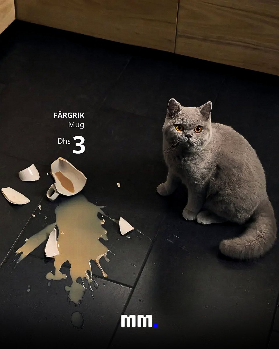 mediamasterspl's tweet image. Tak prezentuje się reklama dla sklepów IKEA, która została wykonana przez agencję kreatywną INGO Hamburg. Jak wam się podoba? 🥹
Zaobserwuj @mediamasters_pl po więcej! 🦅
#mediamasters #mm #marketing #reklama #ikea #kot #pies #zwierzęta #meble