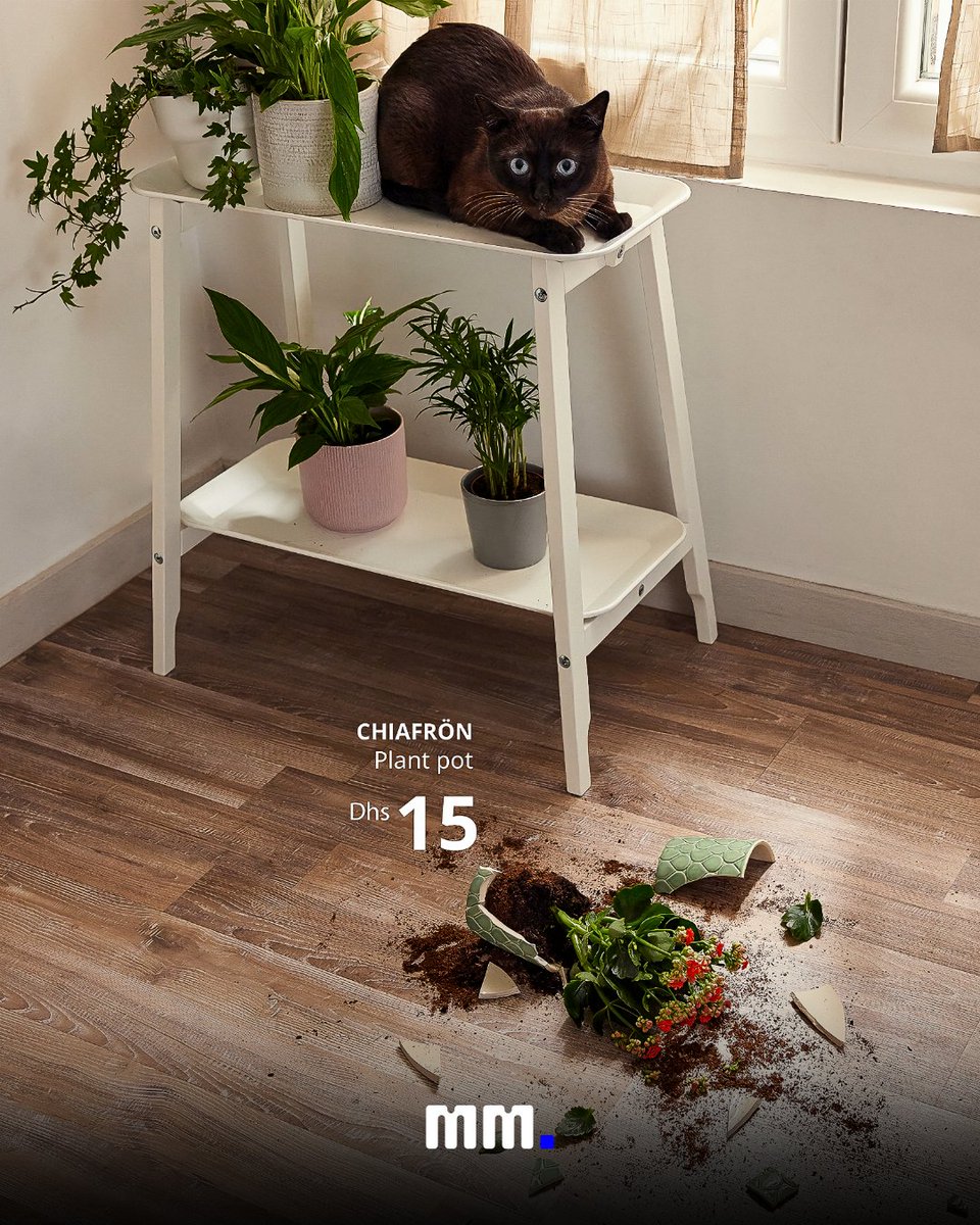 mediamasterspl's tweet image. Tak prezentuje się reklama dla sklepów IKEA, która została wykonana przez agencję kreatywną INGO Hamburg. Jak wam się podoba? 🥹
Zaobserwuj @mediamasters_pl po więcej! 🦅
#mediamasters #mm #marketing #reklama #ikea #kot #pies #zwierzęta #meble