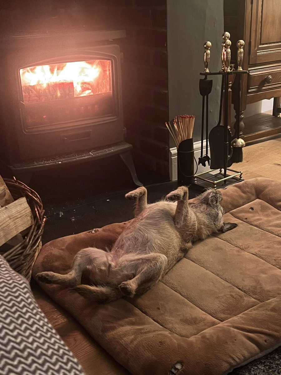 I’ve missed the fire #BTPosse
