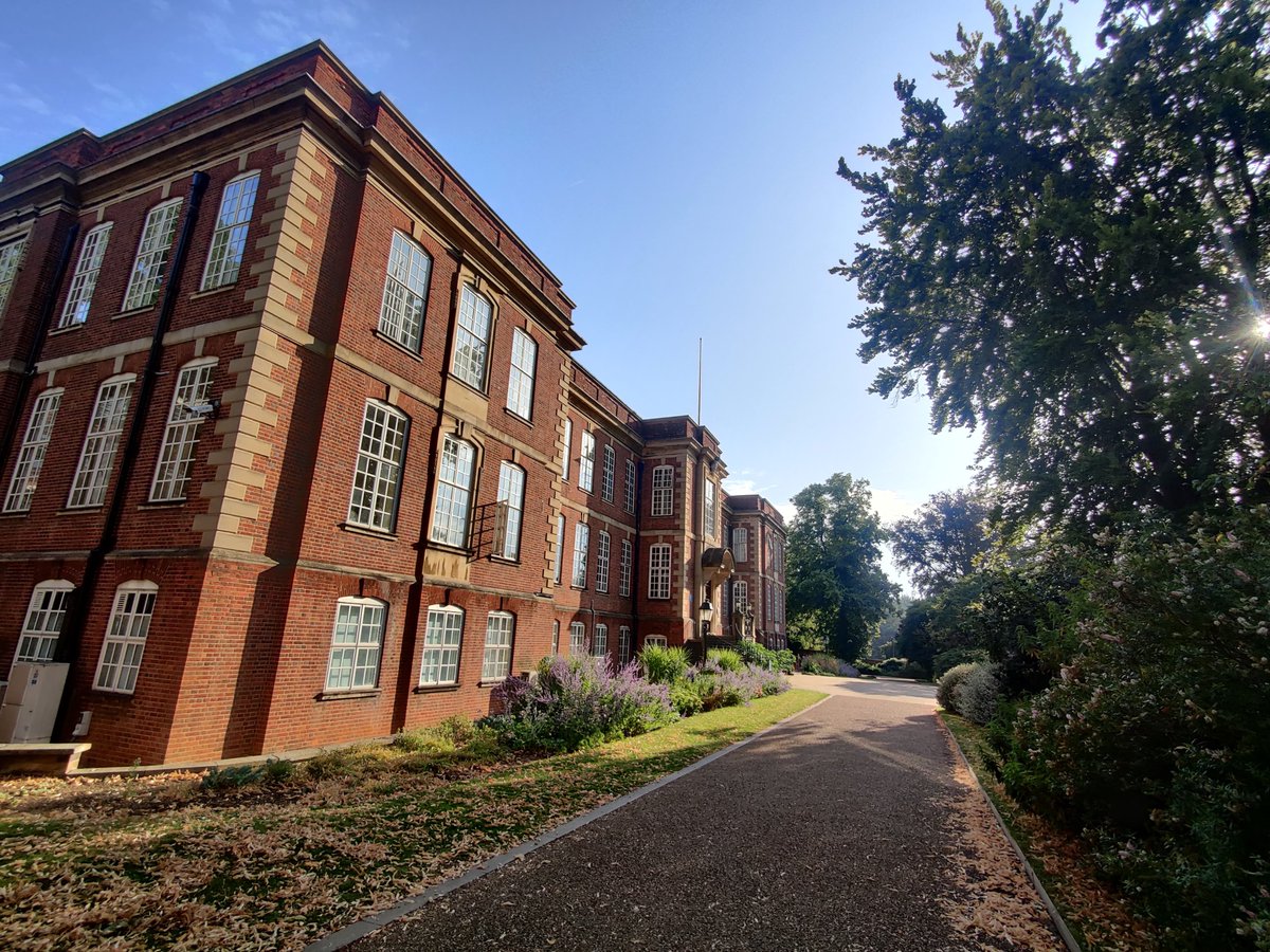 Joana Veríssimo Ferreira tweet media