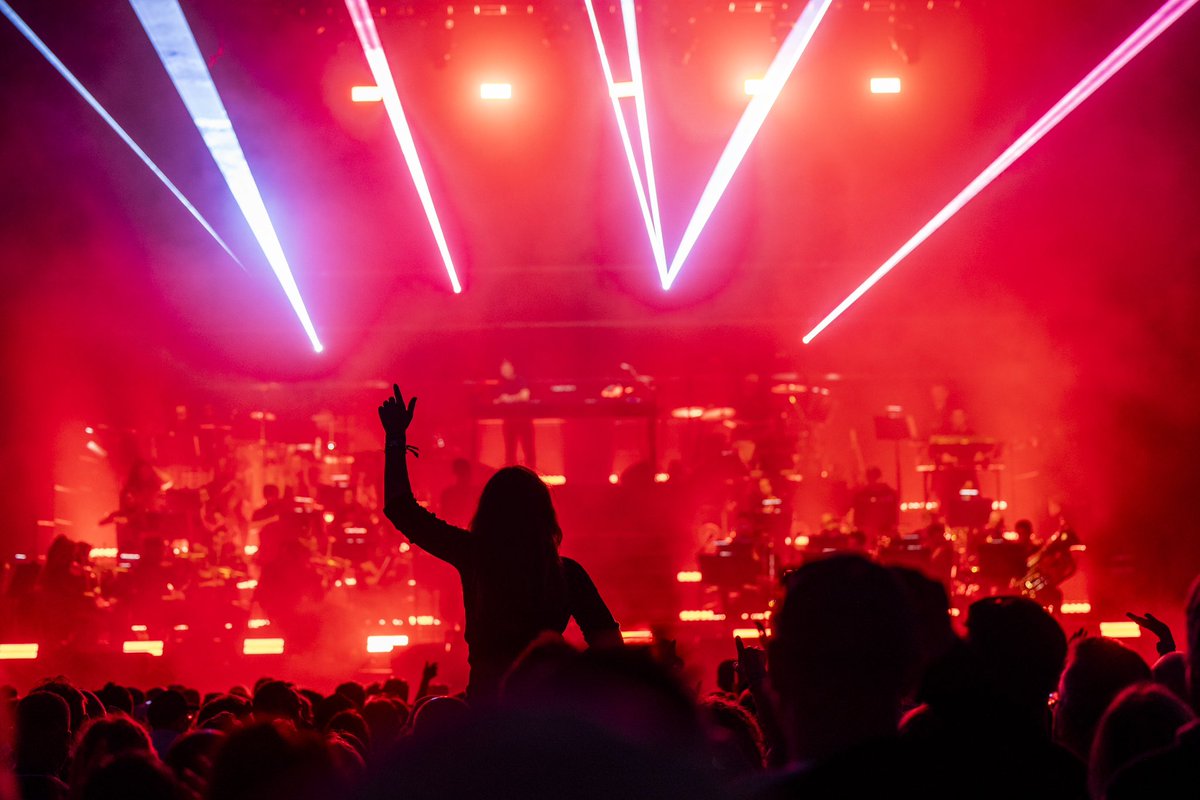 Rupert Frere tweet media