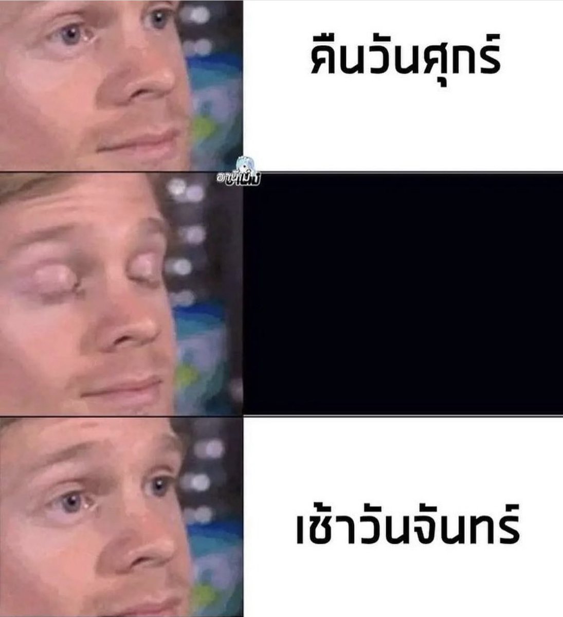 sutiฯ tweet media