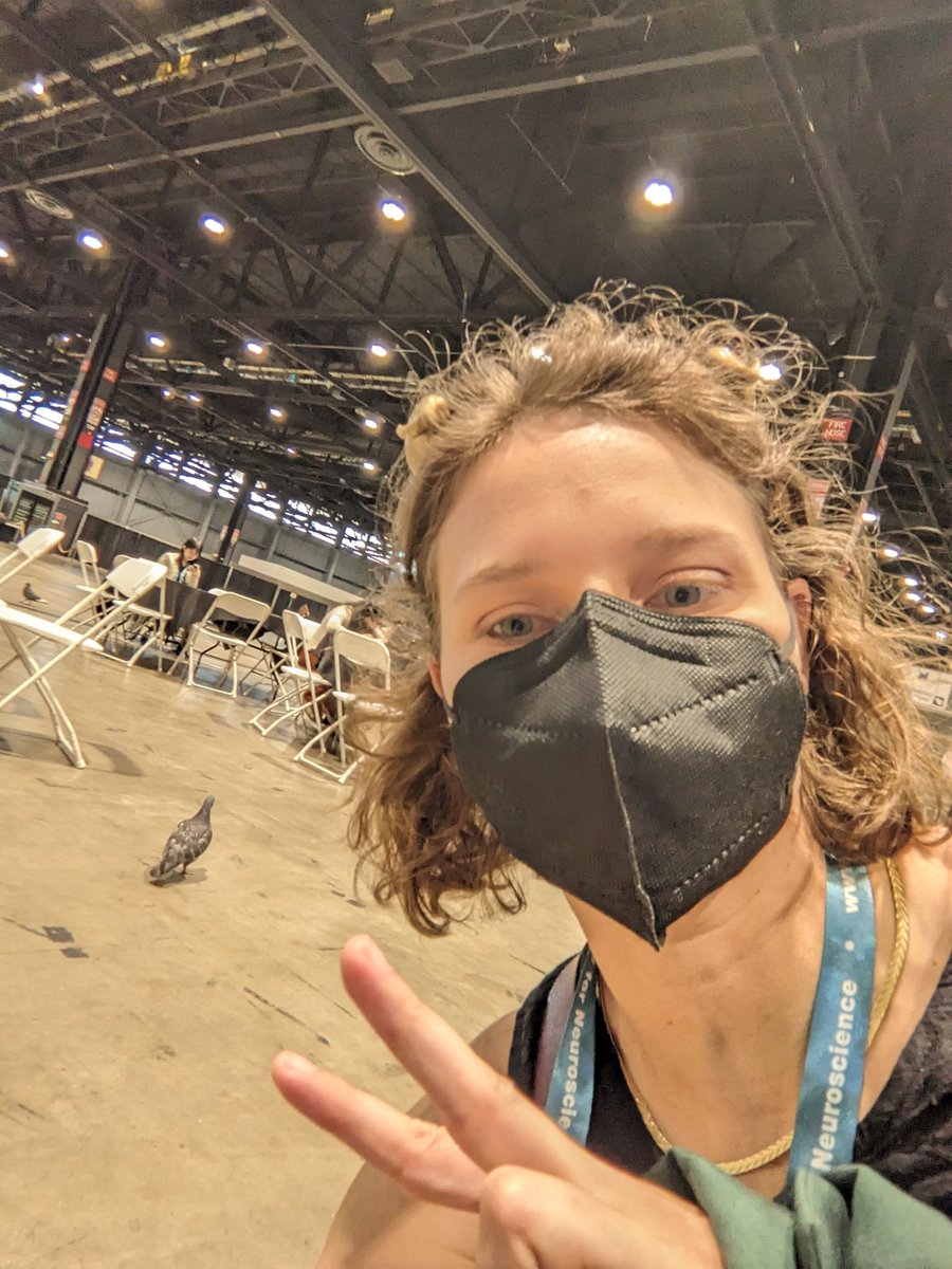 Our pigeon mascot is still here #SfN24 . Names?