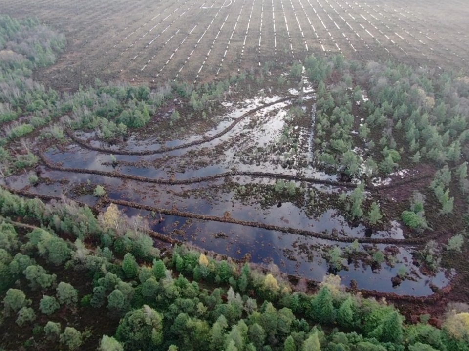 NPWS Nature Conservation tweet media