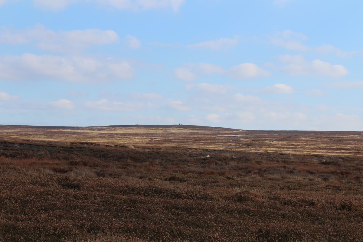 Day 2 completed, some tricky navigational teamwork and lots of work on the aim today. <a href="/LboroAmherst/">Loughborough Amherst School</a> <a href="/PeatRigg/">Peat Rigg</a>