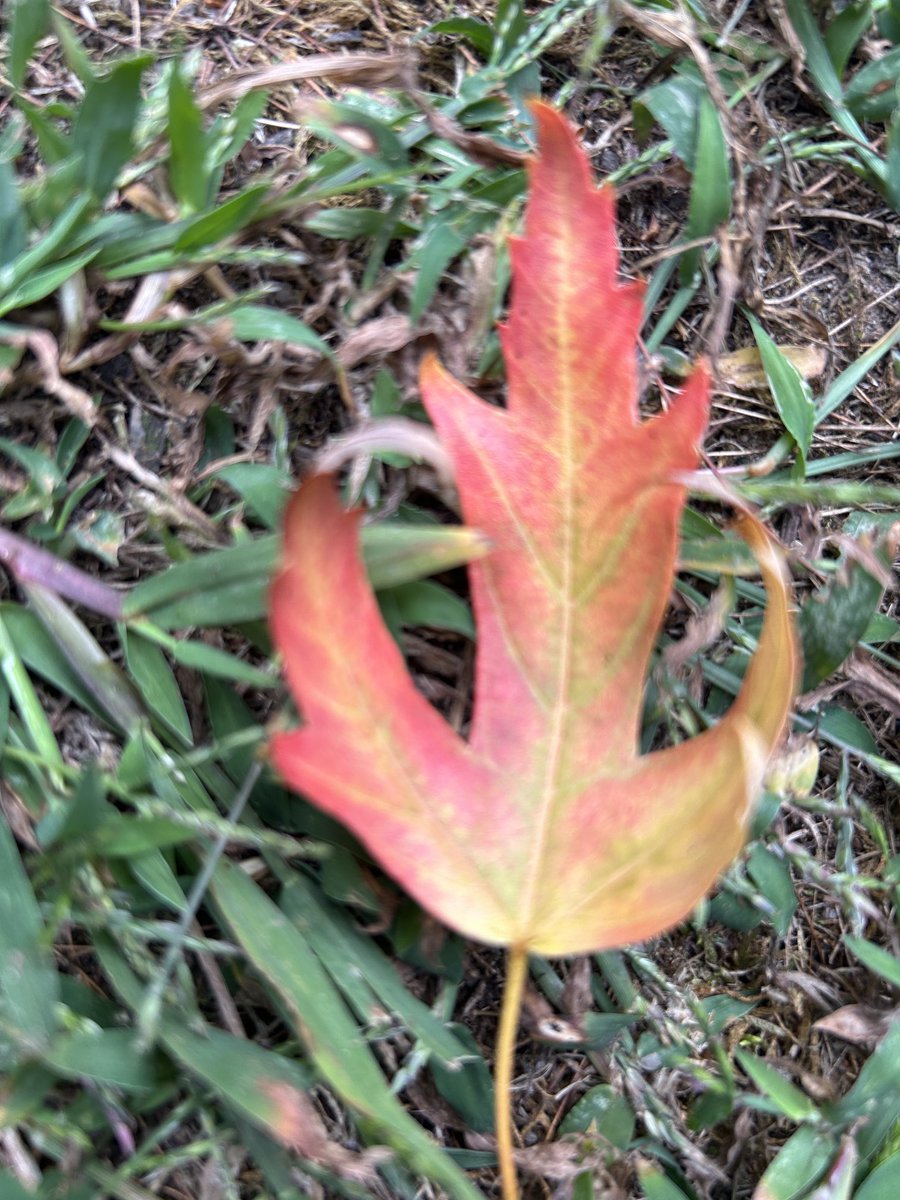 Embrace change and carry on!