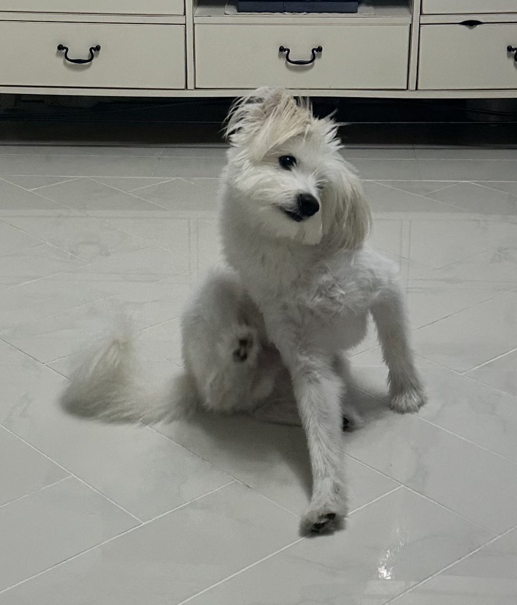 자세봐 하
등긁는거 맨날 보는데도 볼때마다 웃김