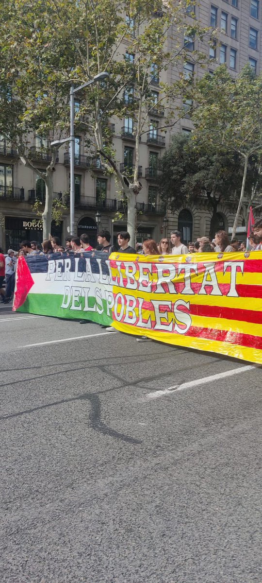 Hem sortit al carrer per demanar, un cop més, aturar el genocidi a #Palestina.

Exigim que s’aturi el comerç d’armes amb #Israel i que se’l responsabilitzi pels crims de guerra que afecten, sobretot, a la població civil dels territoris ocupats.

#PerLaLlibertatDelsPobles