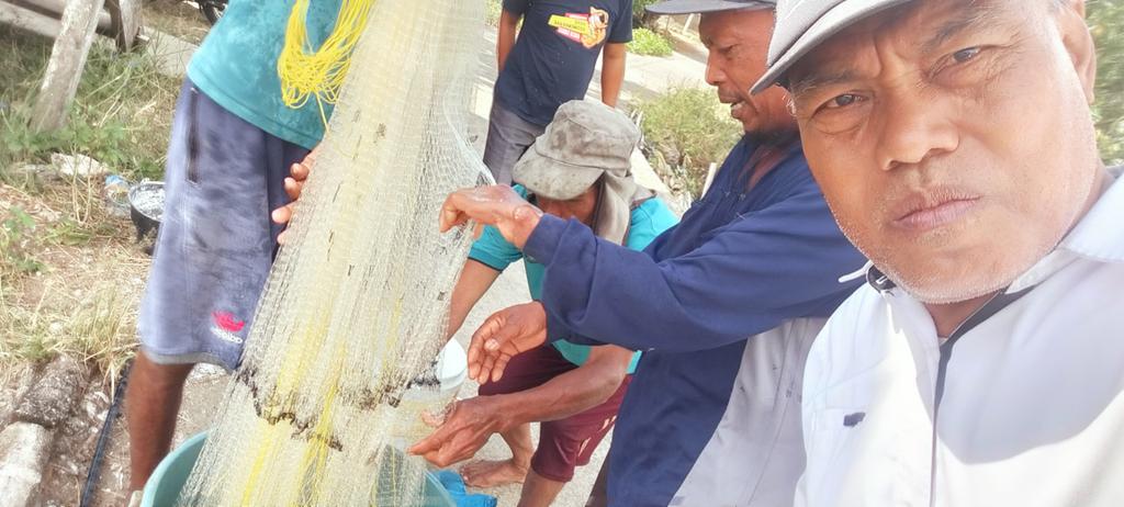 Rokit_66's tweet photo. Kamis (19/09/2024) ROKIT SP Luhkan Kab Sinjai mendampingi panen parsial udang vaname di Desa Panaikang Kec Sinjai Timur An A. Karya Kuasse, Produksi 125 kg, zise 85 ekor/kg  harga Rp 52.000/kg
#GiatLuhkanSatminkalMaros
#luhlapor 
#Panen https://t.co/2loHBftB4F