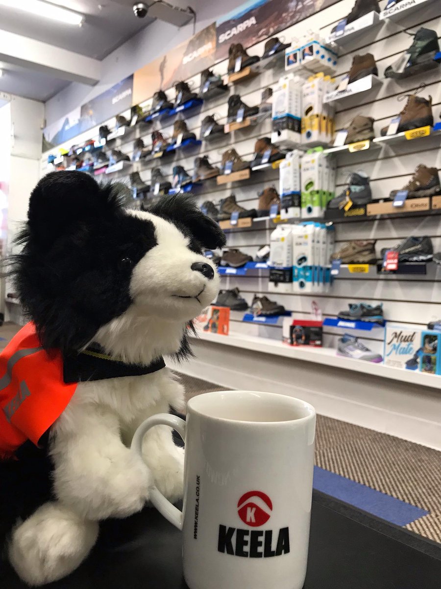 Castleberg's tweet image. We have a new little helper sent from Keela. 
Meet Jasper Casper Castleberg.  His knowledge of Keela products is outstanding so we have been training him up in the other brands we stock.  Paid with copious amounts of tea he has made himself at home.