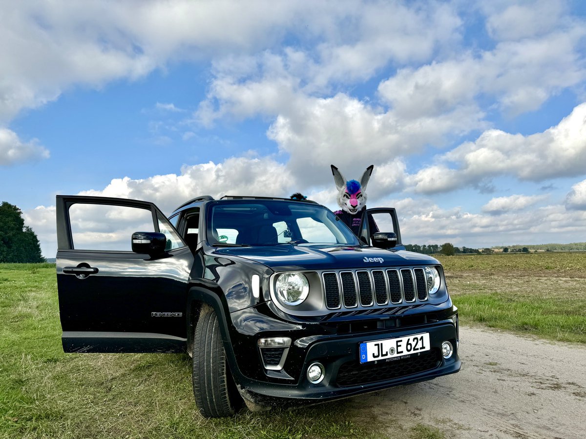 xadron's tweet photo. Kangaroo got a new car #Jeep https://t.co/PbUO6Itub8