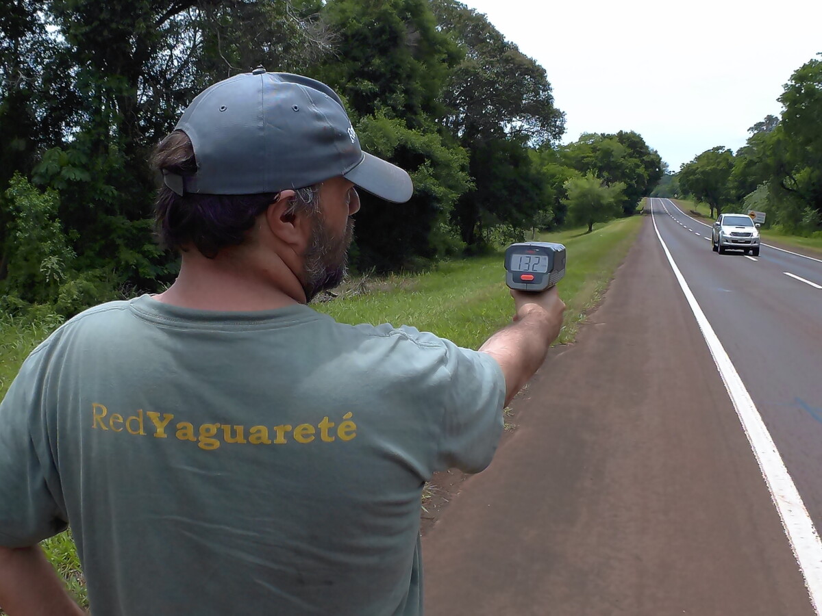 PASARON 10 AÑOS.

SI, UNA DÉCADA.

Nada cambió desde entonces en la ruta, o si: los vehículos ahora circulan más rápido y PERDIMOS CUATRO YAGUARETÉS MÁS POR ATROPELLAMIENTOS: YA SON SIETE.

La INACCIÓN NO ES GRATUITA. LLEVA A LA EXTINCIÓN.

Esto posteamos en 2014:
Los monitoreos