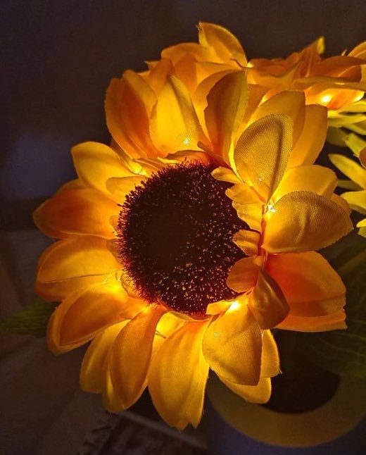 sunflowerchives's tweet photo. pretty sunflower lamp https://t.co/GGt4clT44n