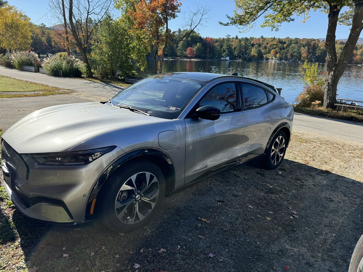 Samantha Truex tweet media