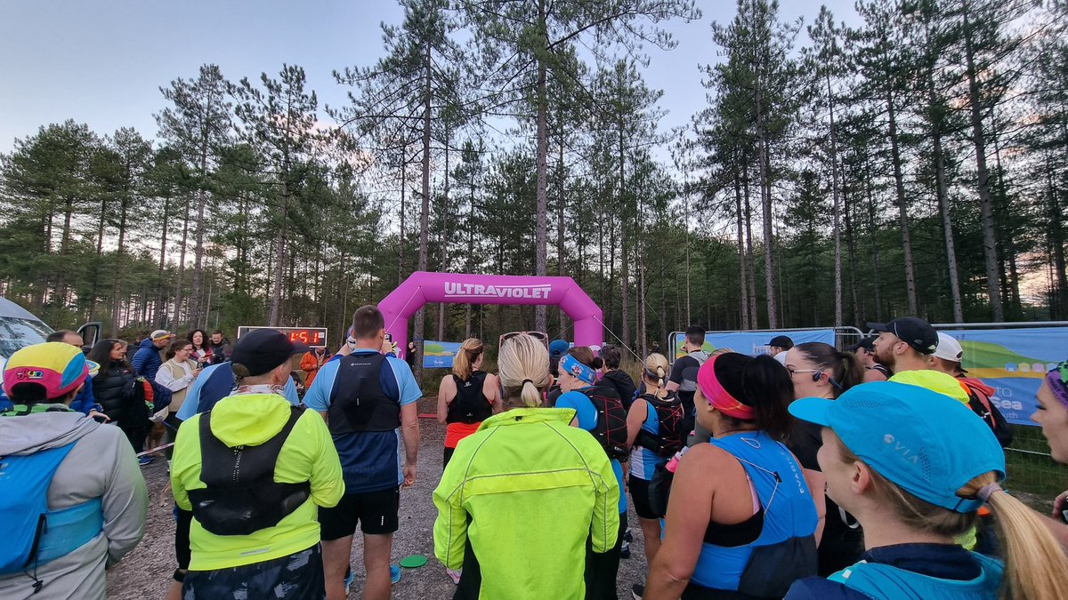 Millie F tweet media