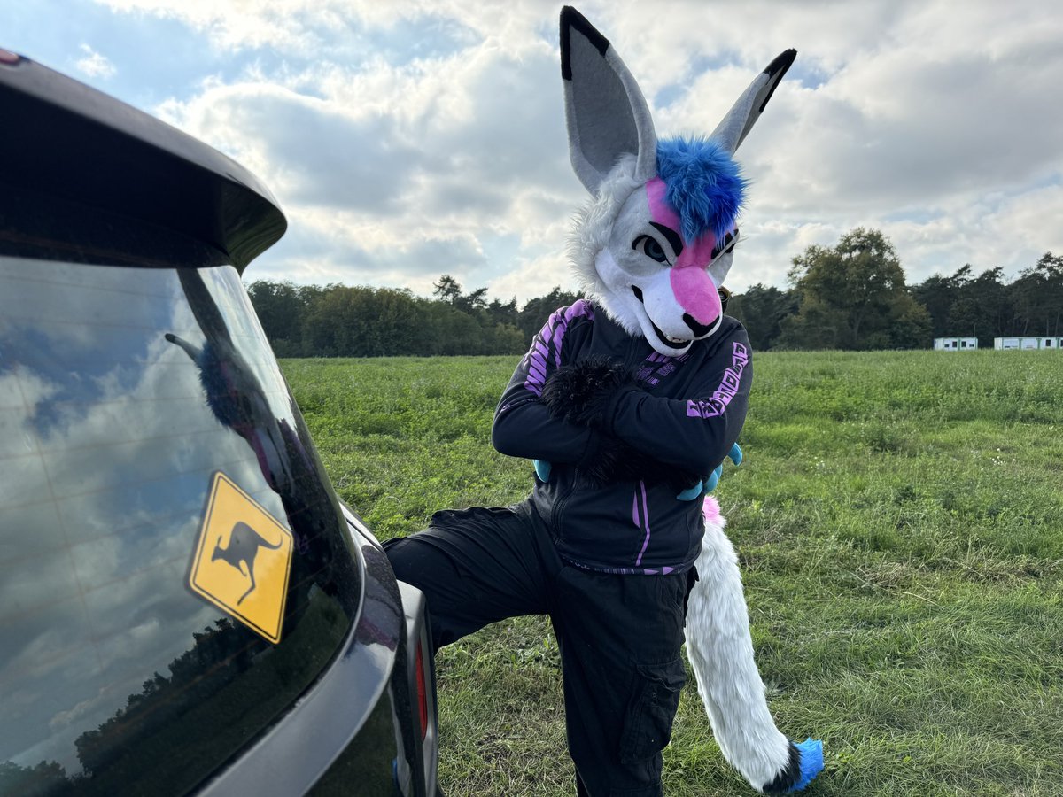 xadron's tweet photo. Jeep Renegade + Kangaroo = @renegade_roo ? 🦘👍😹 https://t.co/g1ACaQKI4Q