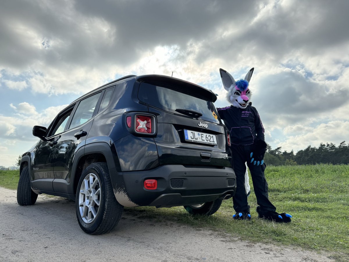 xadron's tweet photo. Jeep Renegade + Kangaroo = @renegade_roo ? 🦘👍😹 https://t.co/g1ACaQKI4Q