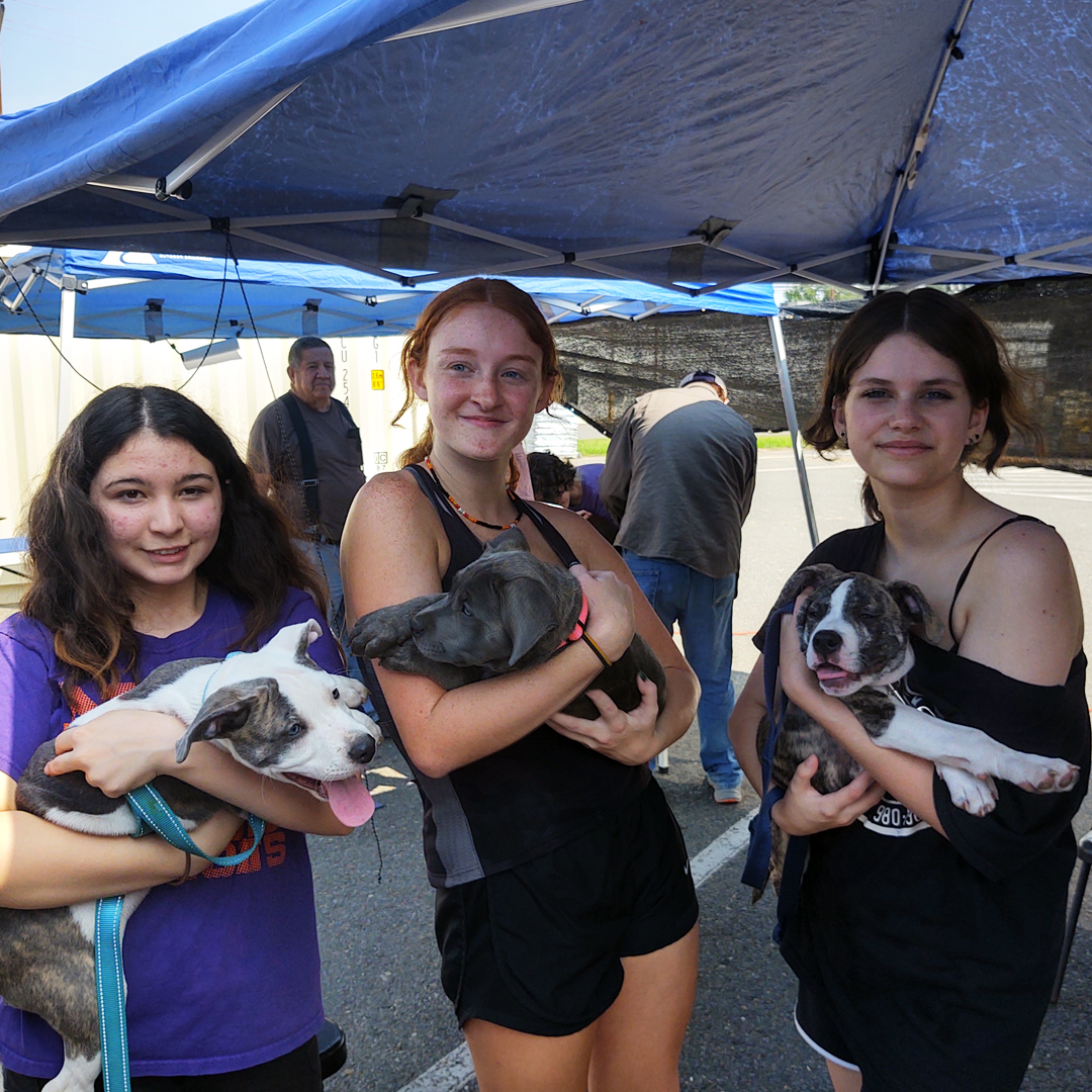 LSMSA's tweet photo. Dr. Nathalie Malti, Associate Lecturer of French, reports that the #LSMSA Animal Welfare Club volunteered to wash dogs at a fundraiser benefiting FAUNA on Saturday, Sept. 14. Way to soar, Eagles! πΆ https://t.co/1LqBYeFN3T
