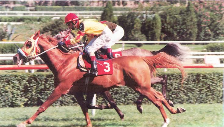 Hüseyin Keçici tweet media