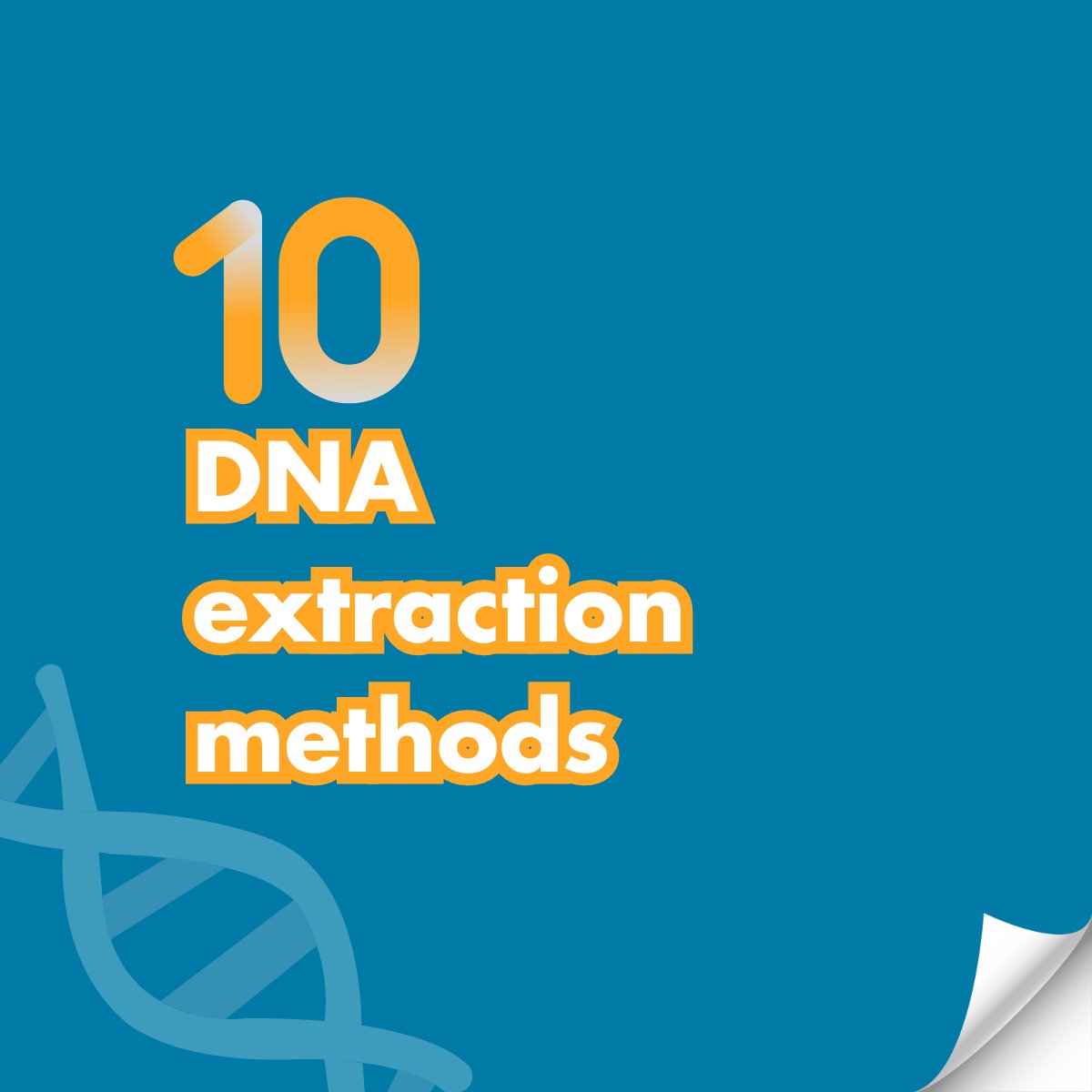 Did you know there are 10 different DNA extraction methods?
Check the link: linkedin.com/feed/update/ur…

#DNAextraction #MolecularBiology #Genomics #LifeSciences