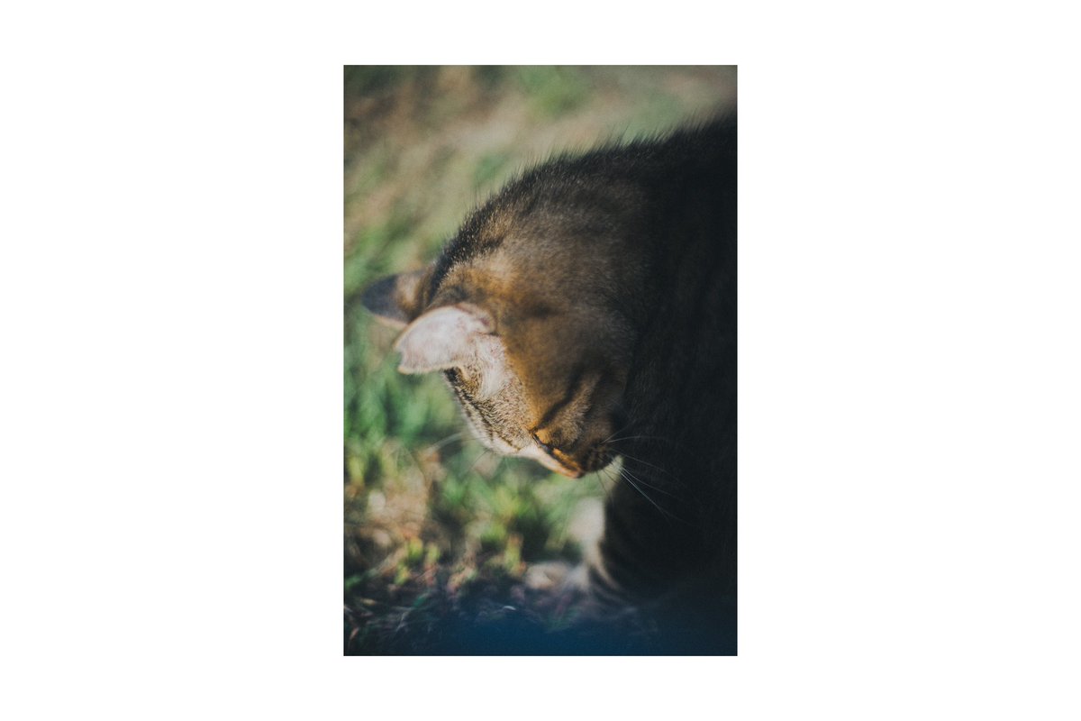 Mori (@cooom_1525) on Twitter photo 