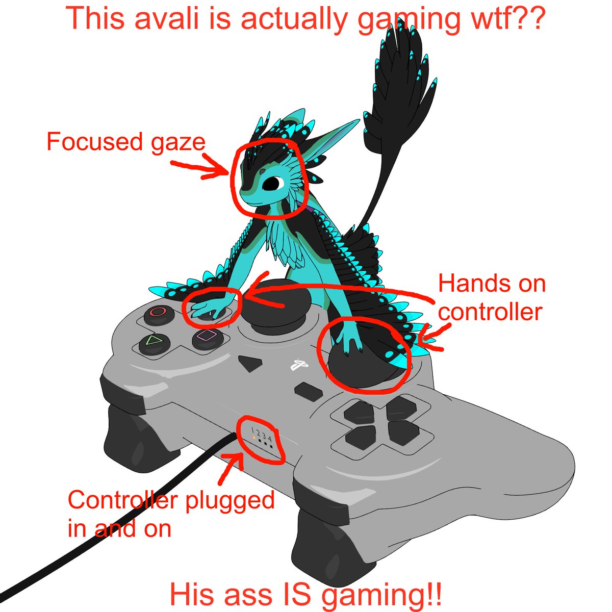 eikoavali's tweet image. and now back to our regularly scheduled programming