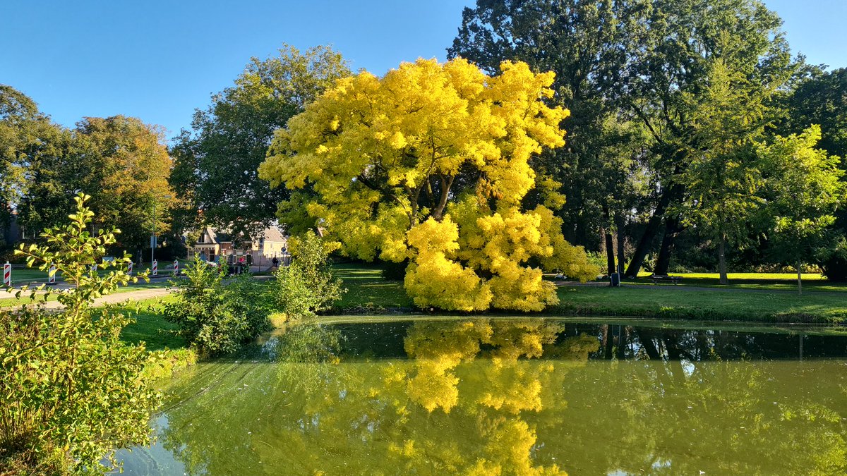 Mooie ☀️ wandelzondag <a href="/gemKampen/">Gemeente Kampen</a> <a href="/KampenTourist/">Kampen Tourist Info</a>, met dank aan <a href="/Bertvdsluis/">Bert van der Sluis</a>.