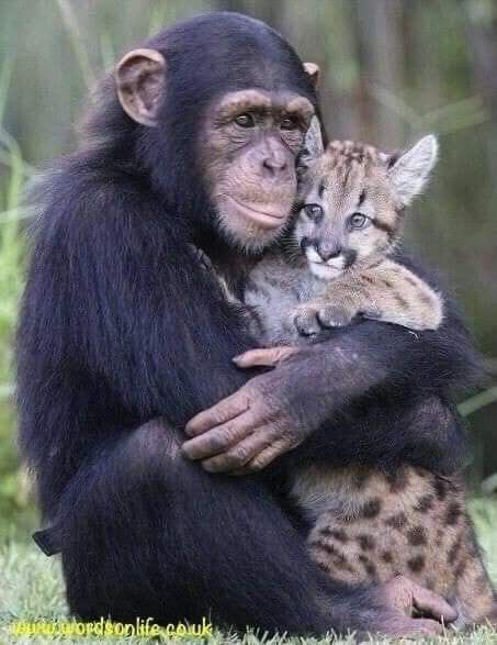 eat5G's tweet image. 