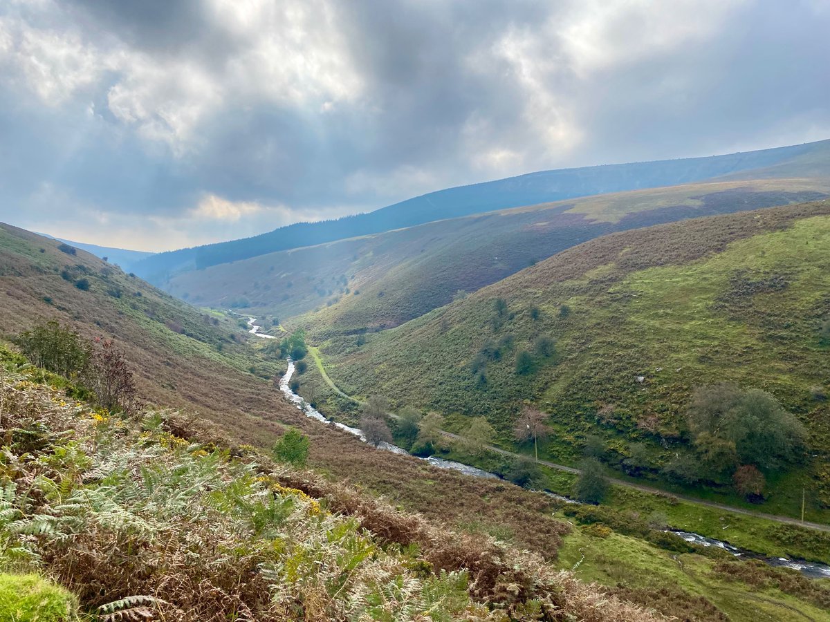 Grabbing every decent day at the moment. Yesterday, hammering the MTB over the Black Mountains. Glorious play of light and cloud shadow on the moors, beautiful green lanes and some gargantuan ash trees. Grand to be about.
