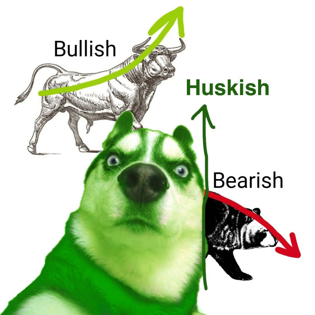 Huskish = 🚀🚀🚀