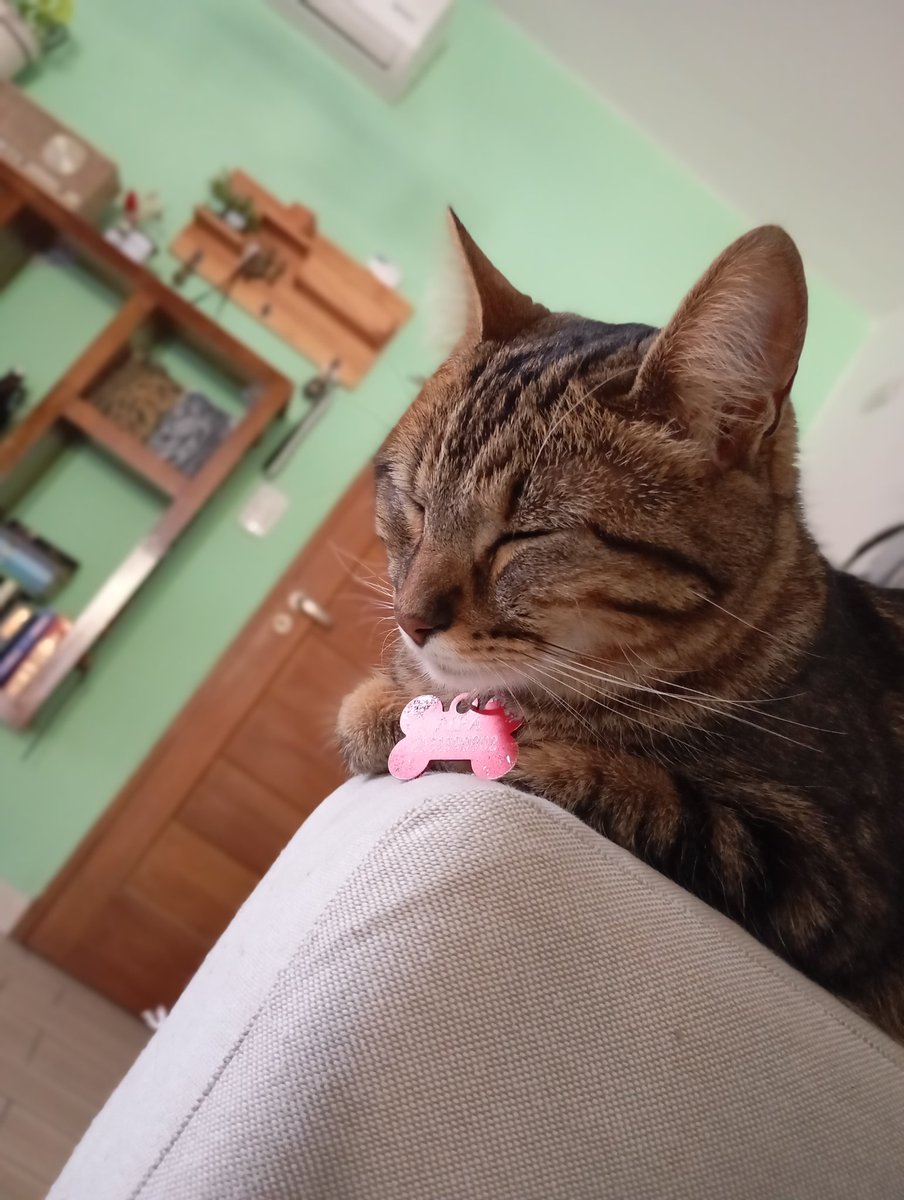 Tan linda vas a ser siempre, Pipa? 😍