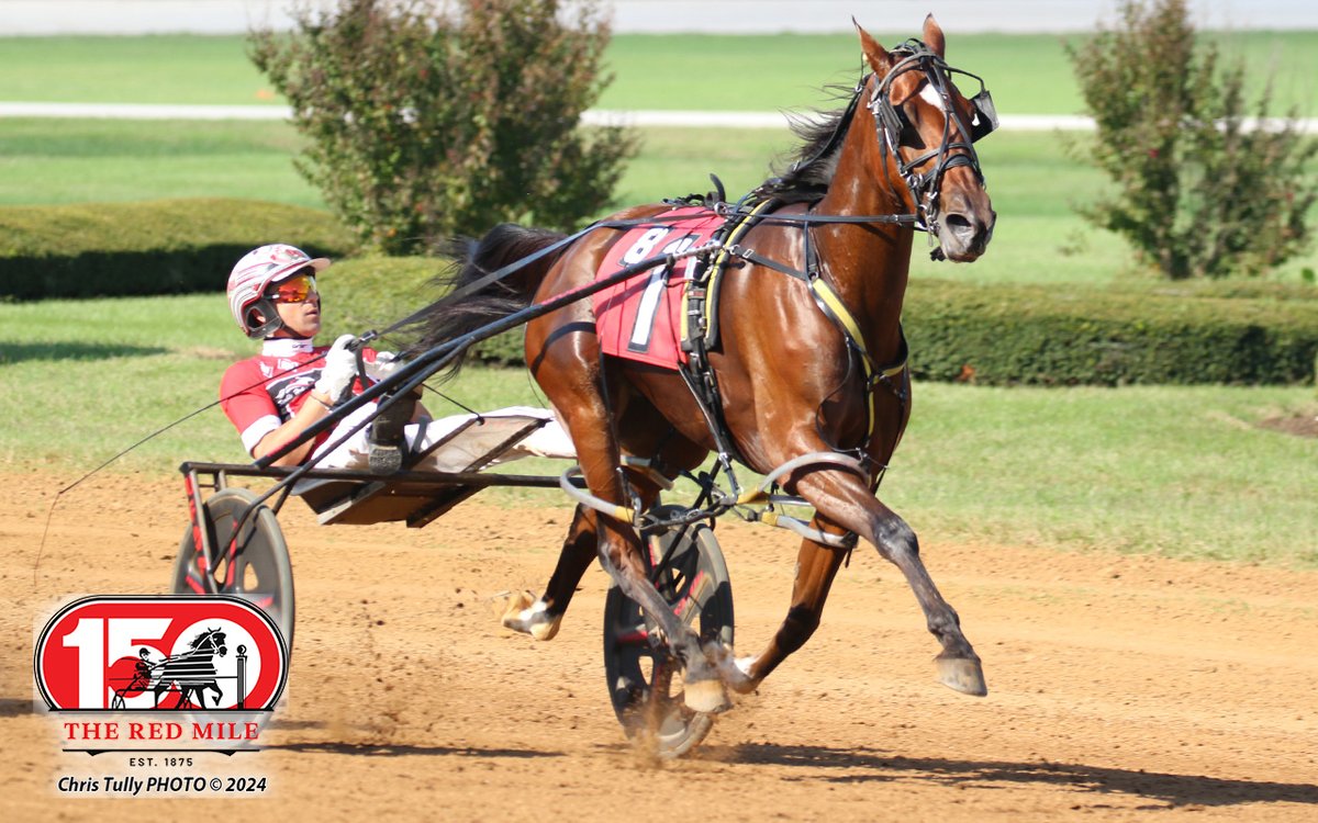 Red Mile Racetrack tweet media