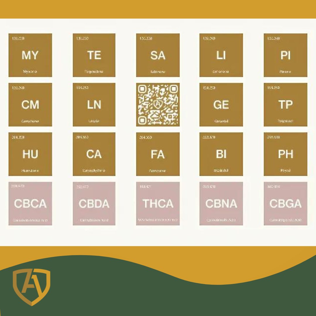 acannability's tweet photo. Ready to learn more about the Cannabis Periodic Table of Molecules?
DM us and let's meet during the @Benzinga Cannabis Capital Conference
Join us for a discussion with Joseph Friedman, RPh, MBA, a Medical Cannabis Pharmacist and Pharmacology Expert.
#Acannability
#Cannabis https://t.co/MSeiy1yHYh