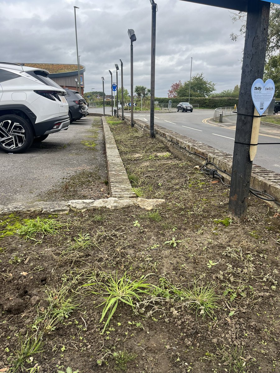 JaneTyson's tweet photo. Today @SurreyWT @Burpham_C_A and I sowed wildflowers in a bare  patch @thriftycars in Burpham #wildflowerhour 🌱#burpham https://t.co/9sWIPdmeAm