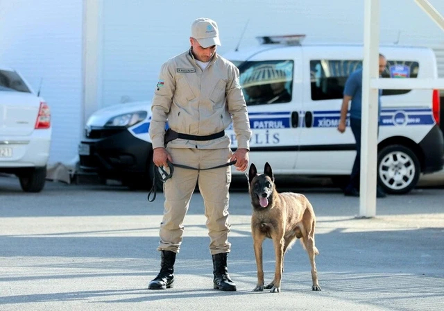 MediaAz1's tweet image. 🐾Фестиваль собак в Баку: помощь бездомным животным и радость для детей.

Подробнее по ссылке - media.az/post/1067984898

#помощь #бездомныеживотные #новости #mediaaz