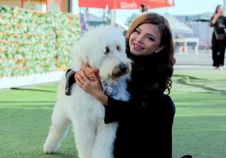 MediaAz1's tweet image. 🐾Фестиваль собак в Баку: помощь бездомным животным и радость для детей.

Подробнее по ссылке - media.az/post/1067984898

#помощь #бездомныеживотные #новости #mediaaz