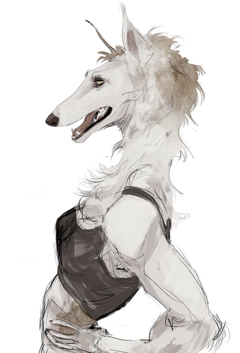 𝙺𝚄𝚁𝙰 ♦︎ working on comms tweet media