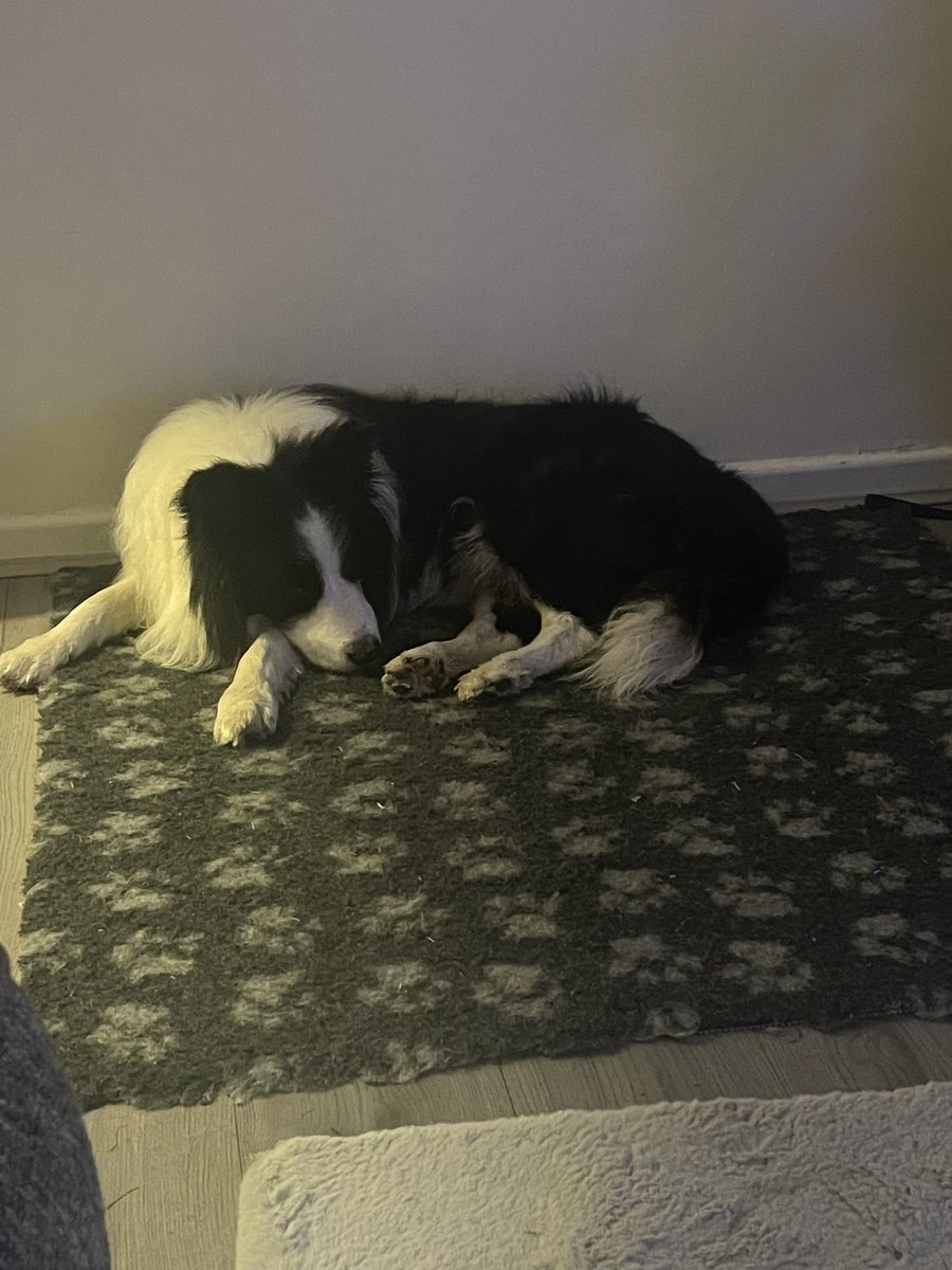 Last night of my week off and I can’t think of anything better to make my life complete than <a href="/ArchieDog4/">Archie Dog aka Tefryn Chase the Dream 🐶🐾💙</a> by my side and catching up on one of my all time favourite programmes Mortimer &amp; Whitehouse gone fishing 🥰🙌🐾💙 <a href="/MWGoneFishing/">Mortimer & Whitehouse: Gone Fishing</a> <a href="/RealBobMortimer/">bob mortimer</a> <a href="/PaulWhitehouse/">Paul Whitehouse</a>