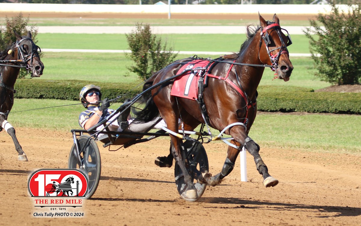 Red Mile Racetrack tweet media