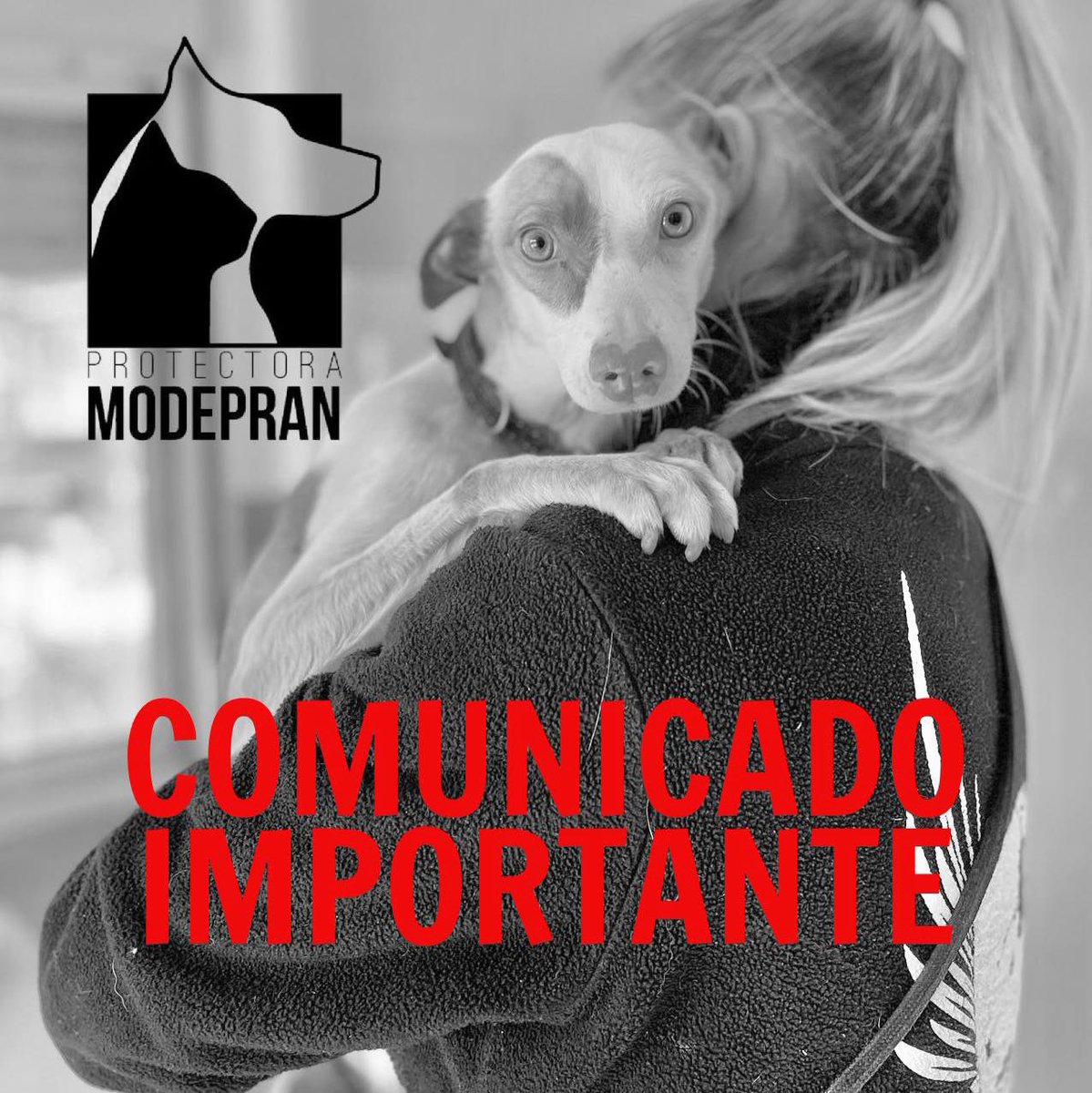 COMUNICADO IMPORTANTE 
La situación es insostenible. Nos vemos obligadas a lanzar este comunicado y tomar decisiones drásticas. No podemos más! instagram.com/p/DAy1r_bofgt/…