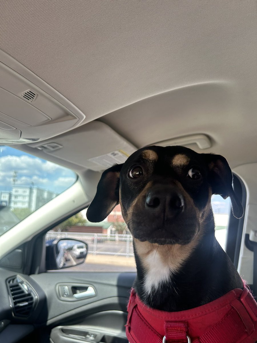 side eye for anyone that targets me