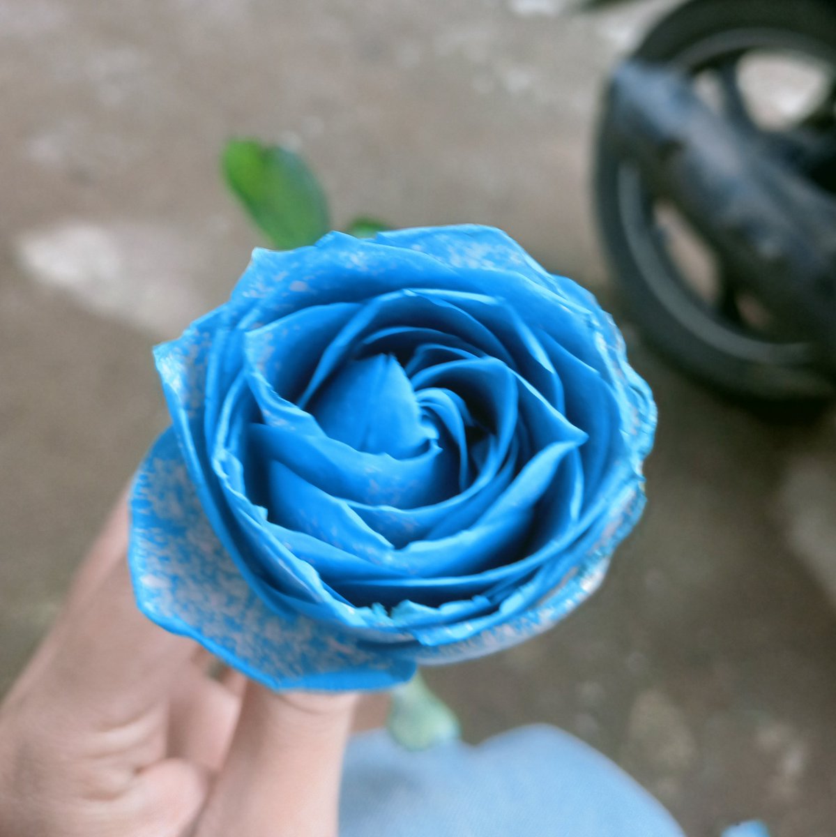 Rfajrian123's tweet photo. #NewProfilePic https://t.co/kSMp3o15cQ