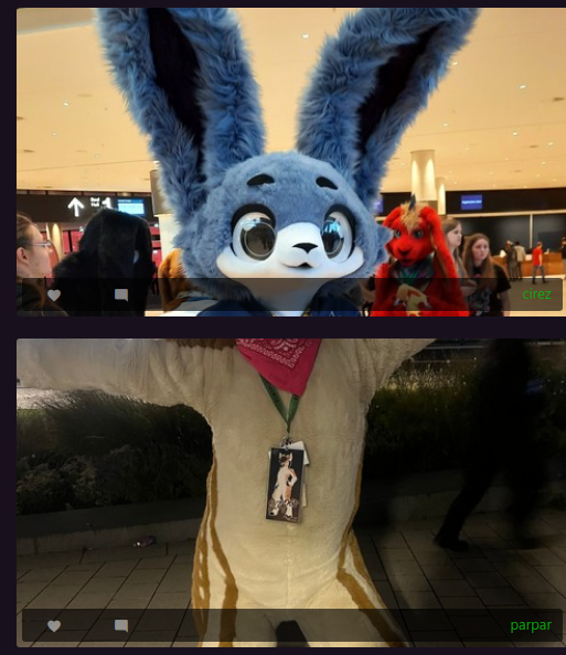 This will now forever be in my <a href="/furtrack/">furtrack</a> feed. Thanks. xD
<a href="/Leithey_/">Leithey</a> 

#fursuit #ef28 #eurofurence